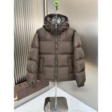 Louis Vuitton Down Jackets